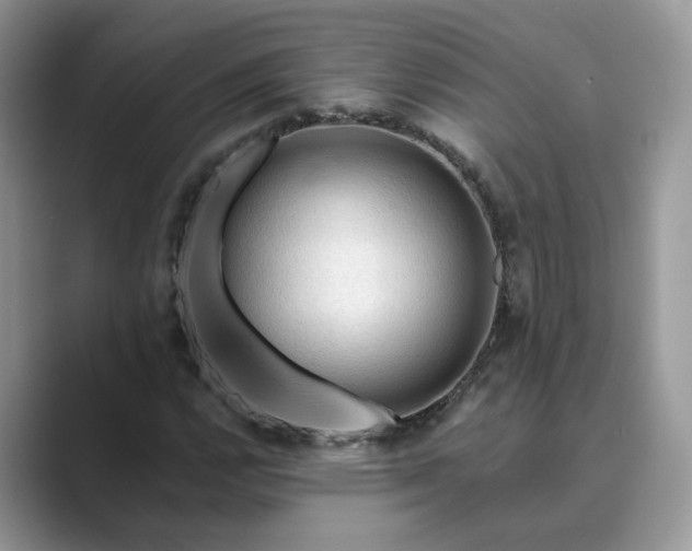 X0000089661112200707051524