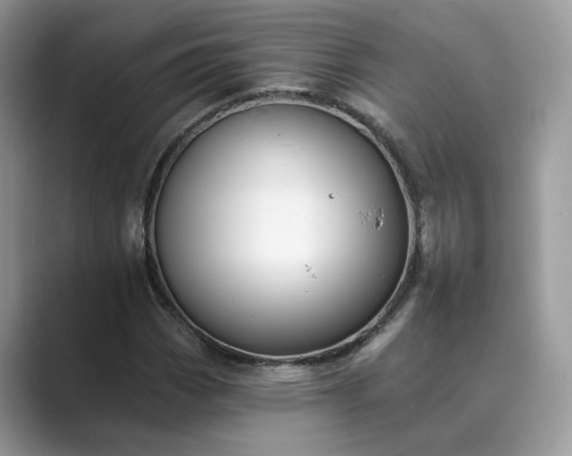 X0000089661113200707051524