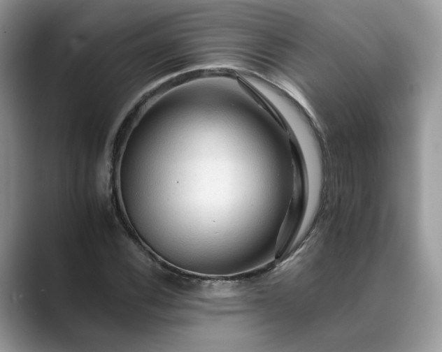 X0000089661116200707051524