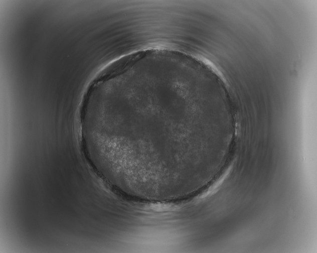 X0000089661117200707051524