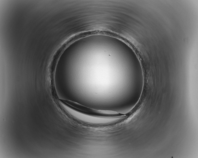 X0000089661118200707051524