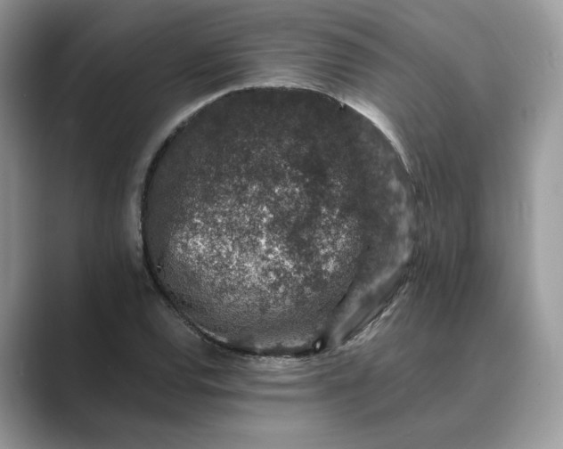 X0000089661120200707051525