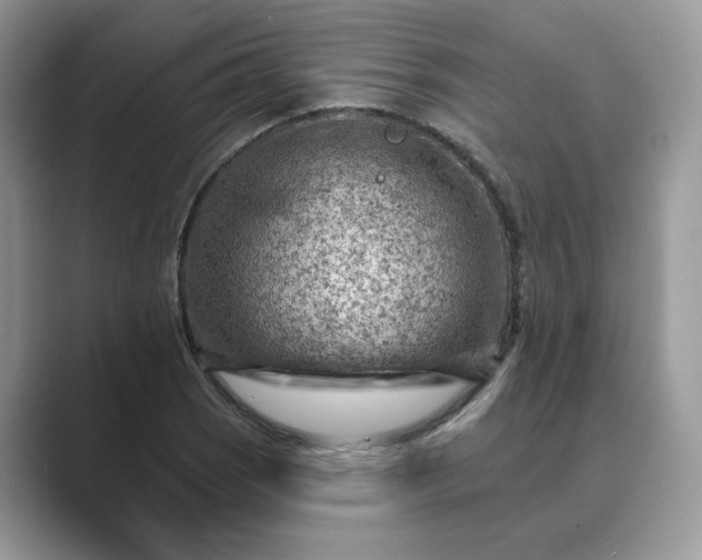 X0000089661121200707051525