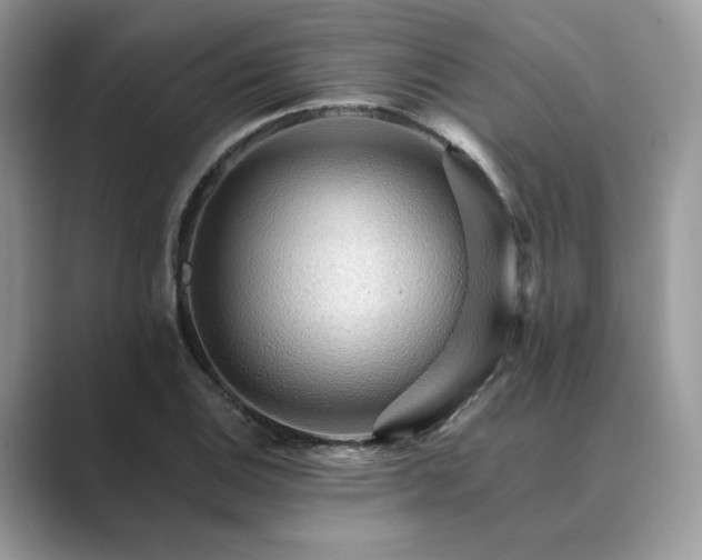 X0000089661124200707051525