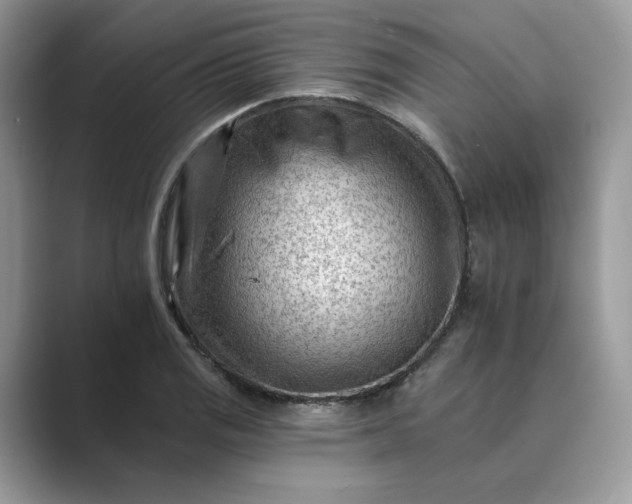 X0000089661125200707051525