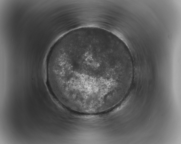 X0000089661127200707051525