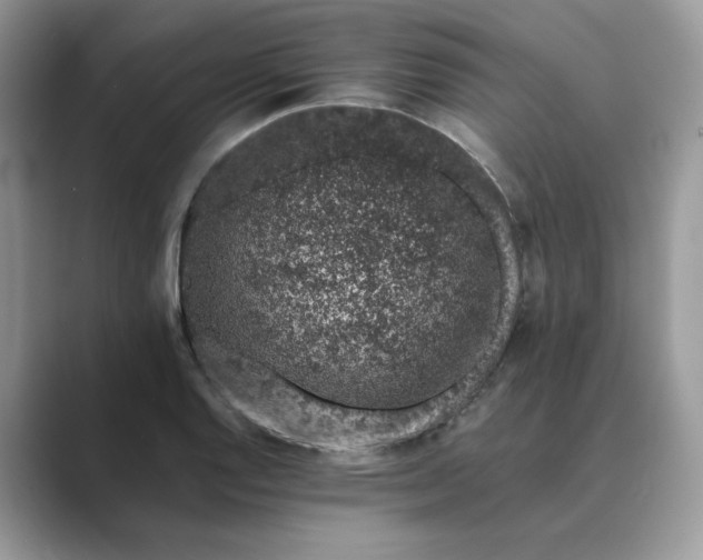 X0000089661128200707051525