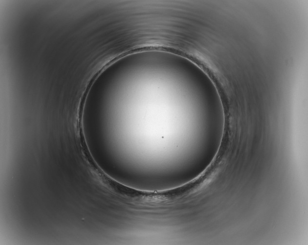 X0000089661129200707051525