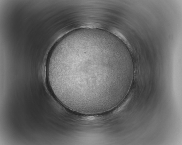 X0000089661130200707051525