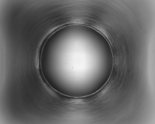 X0000089661131200707051525