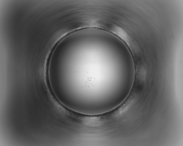 X0000089661135200707051525