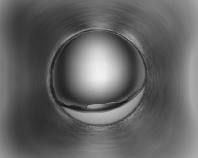 X0000089661136200707051525