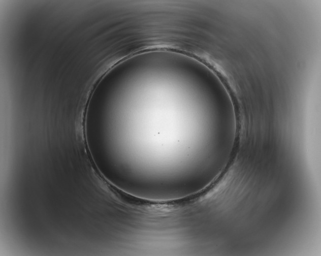 X0000089661137200707051525