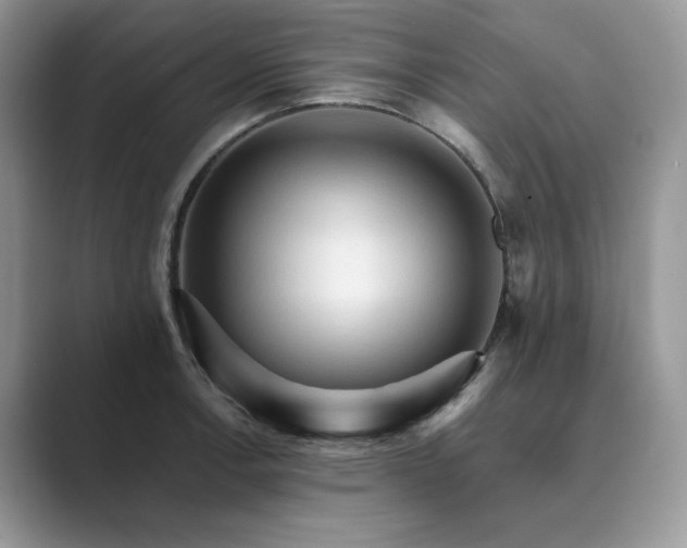 X0000089661138200707051525