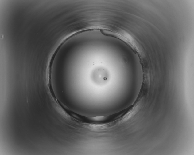 X0000089661140200707051525