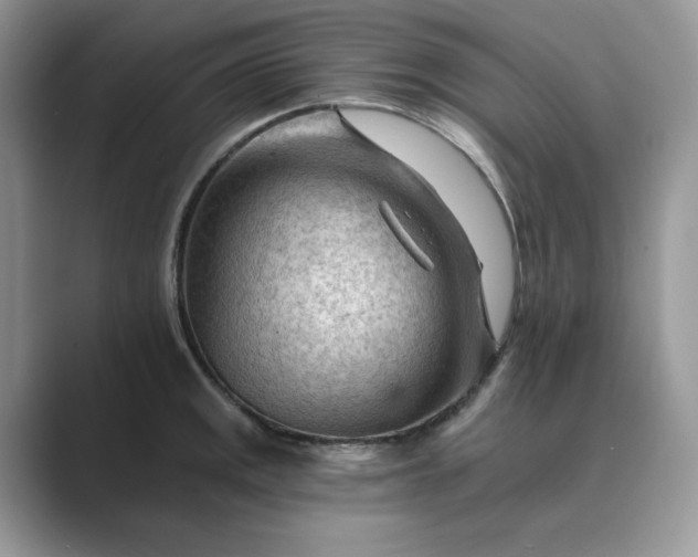 X0000089661141200707051525