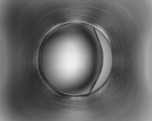 X0000089661142200707051525