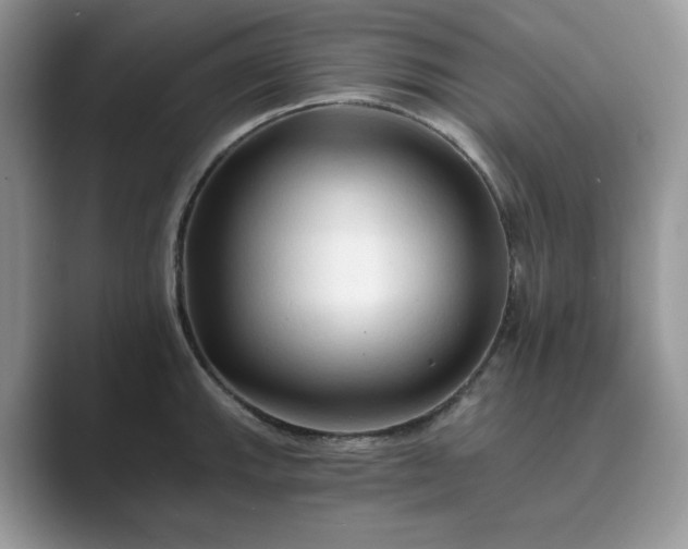 X0000089661143200707051525