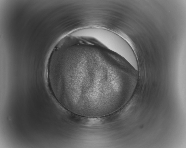 X0000089661144200707051525