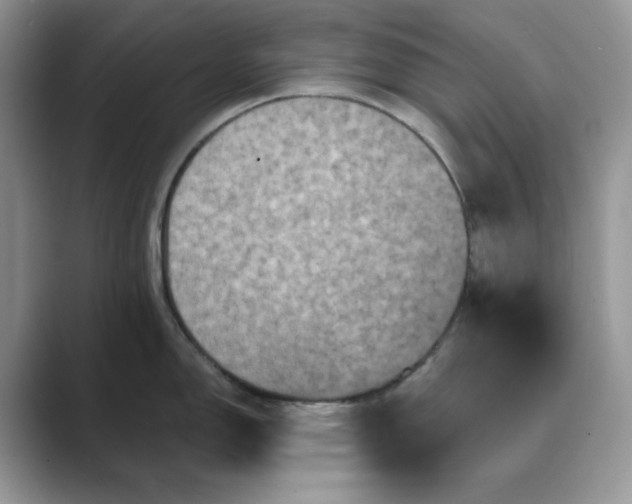 X0000089661150200707051525