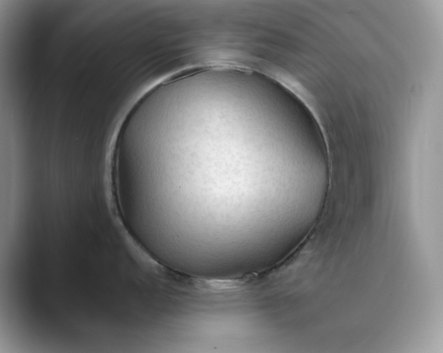 X0000089661152200707051525