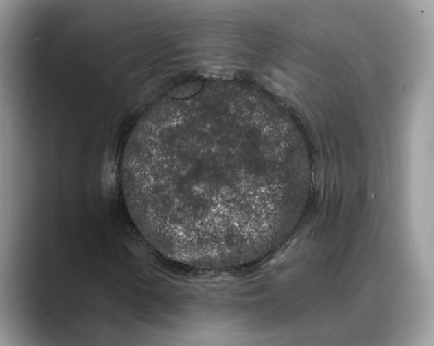 X0000089661154200707051524