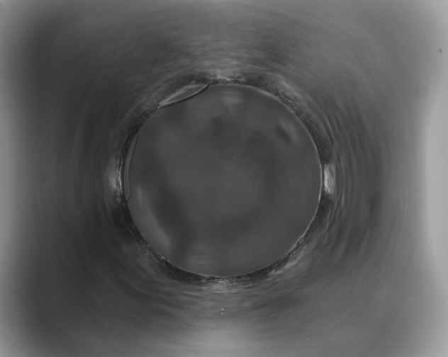 X0000089661155200707051524