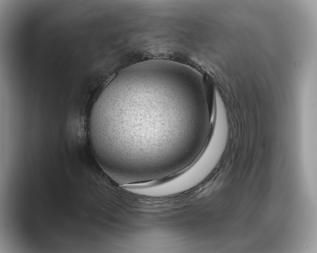 X0000089661156200707051524