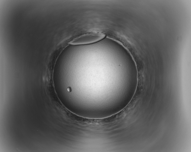 X0000089661158200707051524