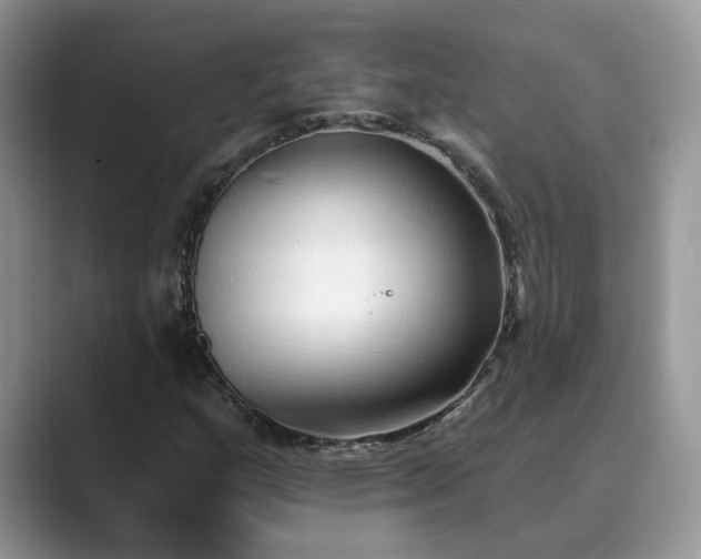 X0000089661159200707051524