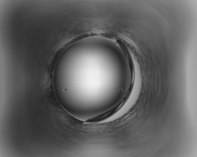 X0000089661160200707051524