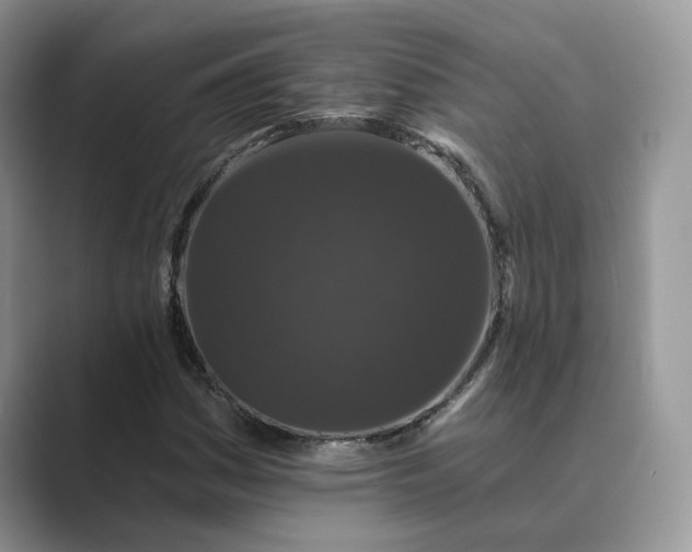 X0000089661161200707051524