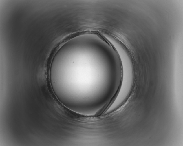 X0000089661164200707051524