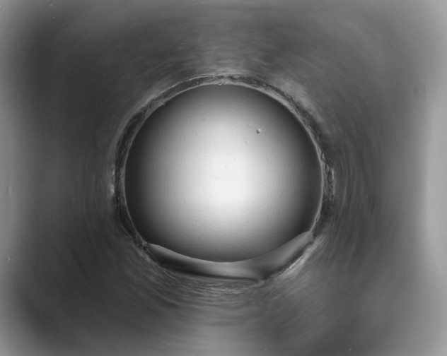 X0000089661165200707051524