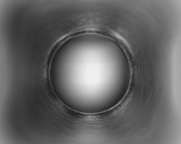 X0000089661166200707051524