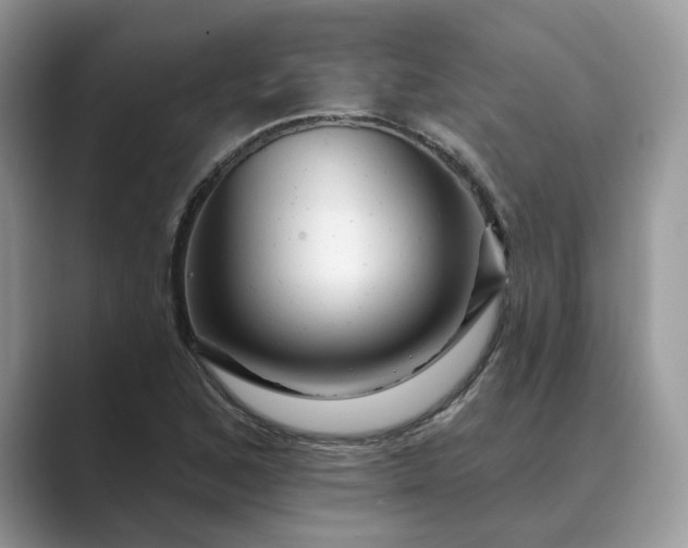 X0000089661168200707051524