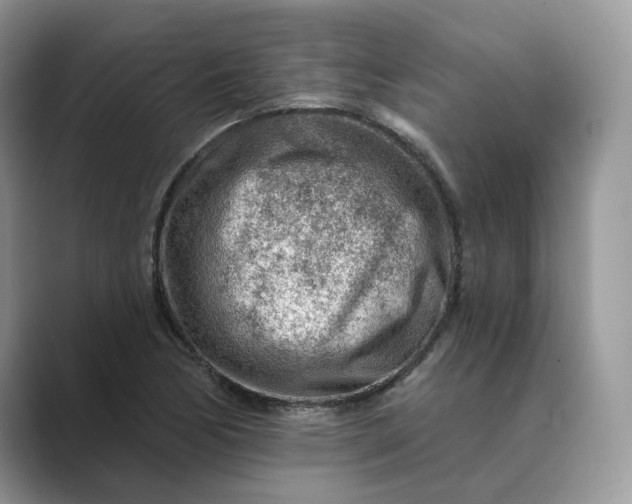 X0000089661170200707051524