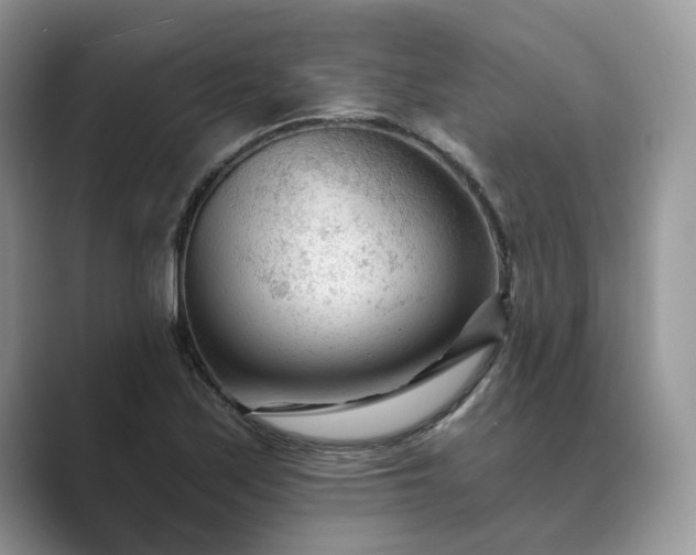 X0000089661171200707051524