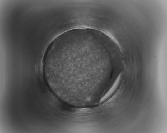 X0000089661173200707051524