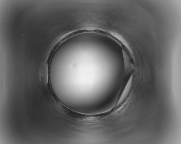 X0000089661175200707051524