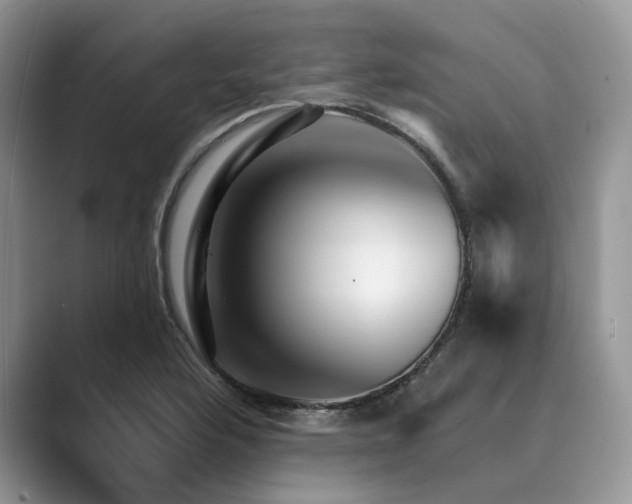 X0000089661176200707051524