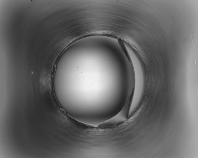 X0000089661177200707051524