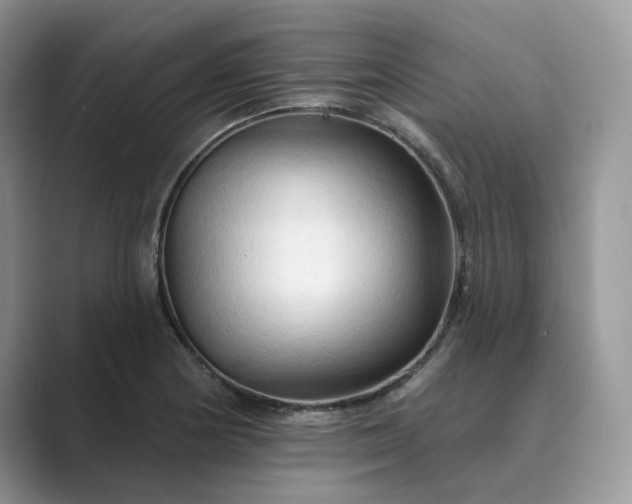 X0000089661178200707051524