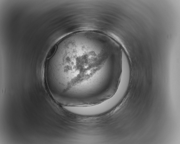 X0000089661179200707051524