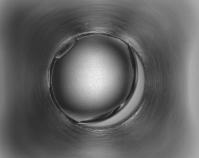 X0000089661180200707051524