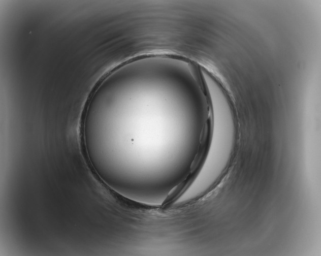 X0000089661181200707051524