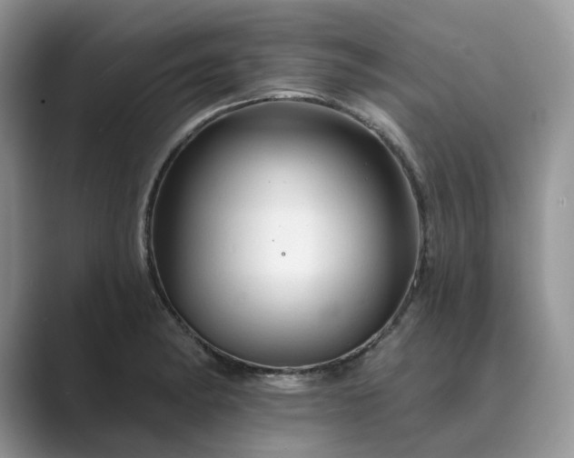 X0000089661182200707051524