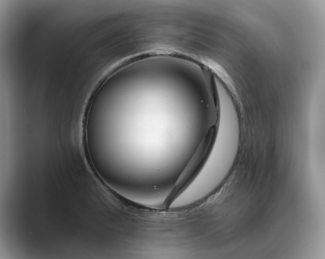 X0000089661183200707051524