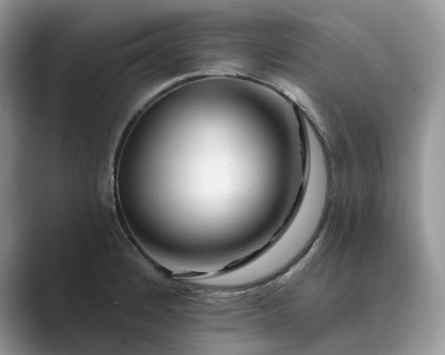 X0000089661184200707051524