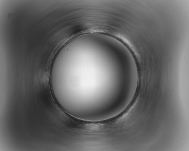 X0000089661185200707051524